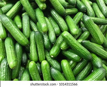 Fresh cucumber on the market