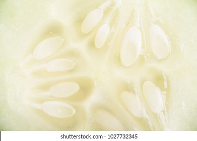 Fresh Cucumber Slice Taken Closeup Suitable As Food Background. Macro Photography