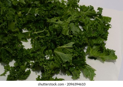 Fresh Curly Kale Salad Isolated Background