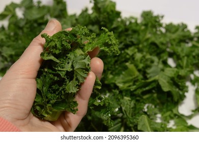 Fresh Curly Kale Salad Isolated Background