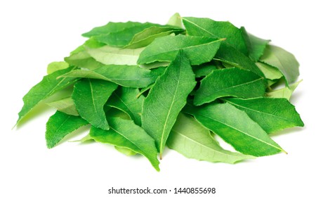 49,228 Curry leaves fresh Images, Stock Photos & Vectors | Shutterstock