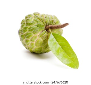 Fresh Custard Apple Leaf Isolated On Stock Photo 247676620 | Shutterstock