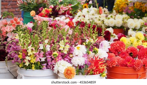 Fresh Cut Flowers, Buckets Of Colorful Flowers