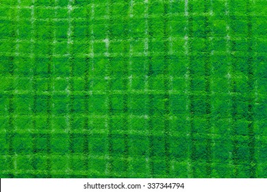 Fresh Cut Green Grass Background Texture Pattern