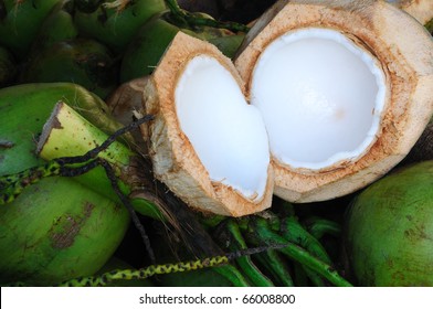 fresh cut green young coconut