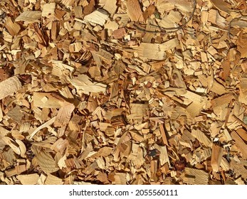 A Fresh Cut Natural Wood Chips Ground Cover Shavings Sawmill Debris