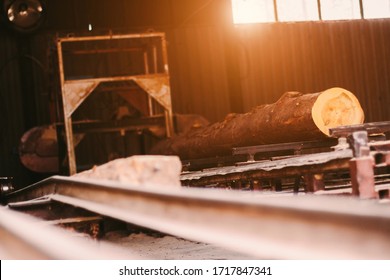 Fresh Cut Pine Tree Log Processing On Sawing Machine At Timber Production Mill. Wooden Material Processing And Cutting At Wood Manufacturing Factory. Sawing Fresh Tree Trunk On Power Cutting Machine