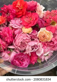 Fresh Cut Roses In A Clear Plastic Bowl, Mixed With Different Breeds And Colours