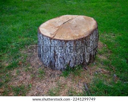 Similar – city tree Tree trunk