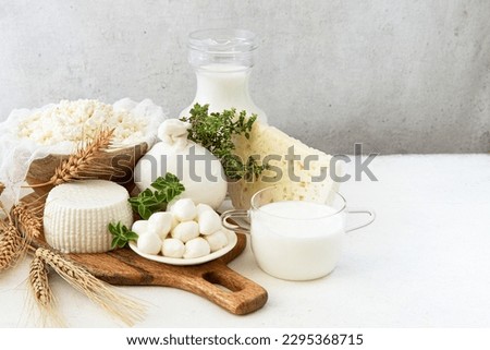 Fresh dairy products (milk,  feta, cottage cheese, Mozzarella,yogurt, Buratta, cottage cheese).Symbols of jewish holiday - Shavuot	