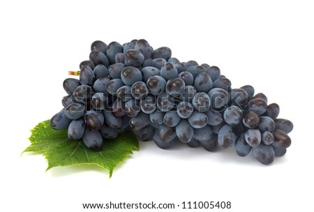 Fresh dark grape with leaf isolayed on white background