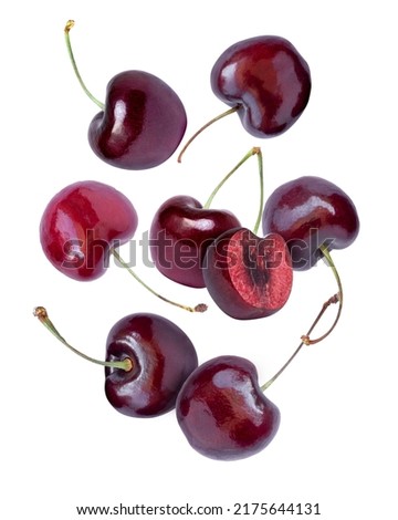 Fresh dark red cherry flying in the air isolated on white background. 
