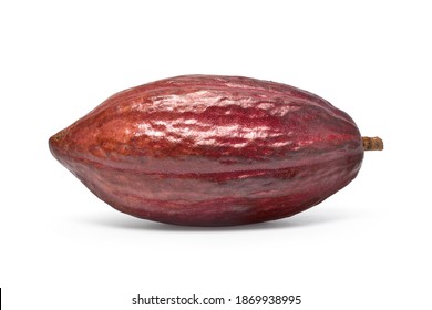 Fresh Dark red cocoa fruit isolated on white background. Clipping path - Shutterstock ID 1869938995