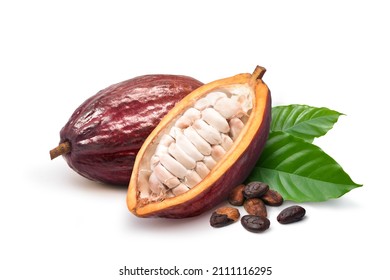 Fresh Dark red cocoa pods with half sliced and beans isolated on white background. - Shutterstock ID 2111116295
