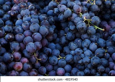 Fresh Dark Red Grapes At Market Place