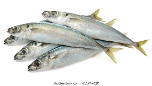 Fresh Decapterus Fish Isolated On White Background