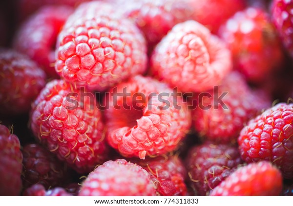 Fresh Delicious Garden Raspberry Blurred Beautiful Stock Photo