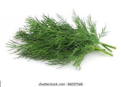 Fresh Dill