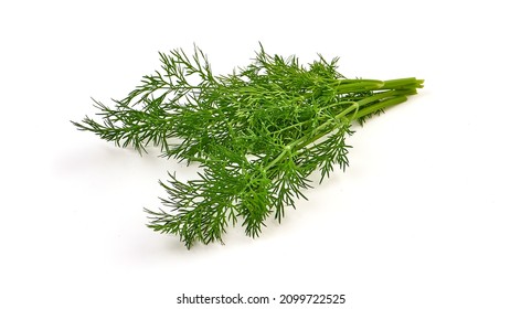 Fresh dill bunch, fresh condiments, isolated on white background