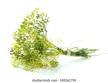 Fresh Dill Flowers, Isolated On White