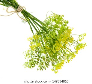 Fresh Dill Flowers, Isolated On White