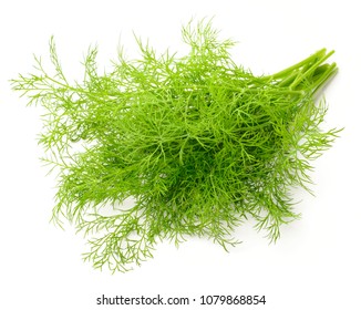 Fresh Dill Weed Isolated On White