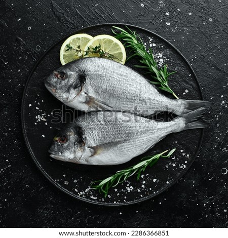 Fresh Dorado fish with spices is ready to cook. On a plate. On a black stone background.
