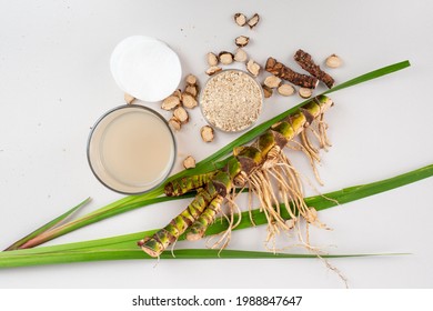 Fresh and dried Acorus calamus roots, also known as sweet flag, calamus leaves and powder, tonic for skin and hair. For personal care products, beauty and medicine.