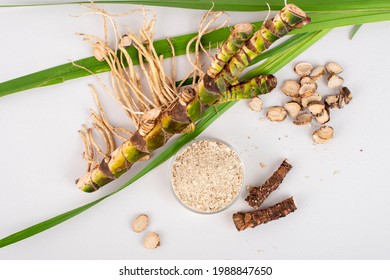 Fresh and dried Acorus calamus roots, also known as sweet flag, calamus leaves and powder isolated on light background. For personal care products, beauty and medicine. Top view.