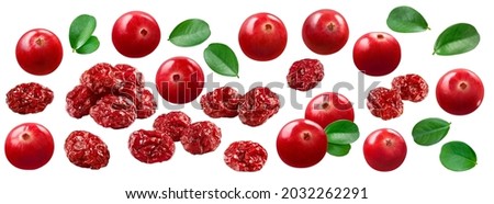 Fresh and dried cranberry set isolated on white background. Package design elements with clipping path