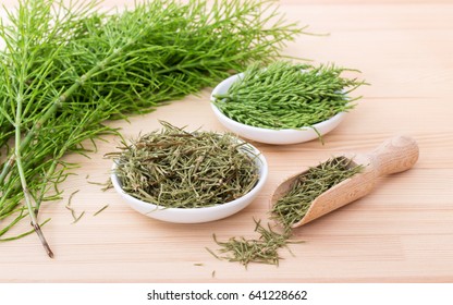 Fresh And Dried Field Horsetail 