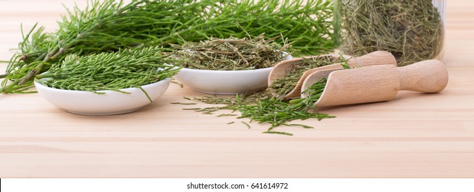 Fresh And Dried Field Horsetail