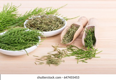 Fresh And Dried Field Horsetail 