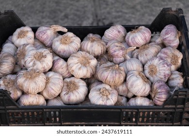 Fresh Dried Garlics on a Farmer's Market - Powered by Shutterstock