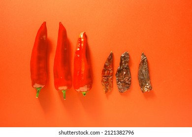 Fresh And Driesd Red Peppers On Red Background.  Monochromatic Arrangement.