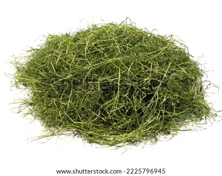 Fresh Dry Grass - Green Hay Heap isolated on white Background