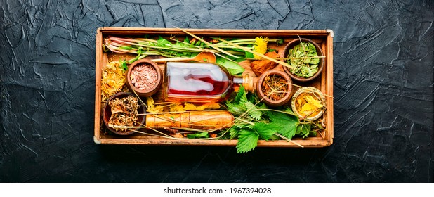 Fresh and dry healing herbs and medicinal plants.Herbal medicine,homeopathy