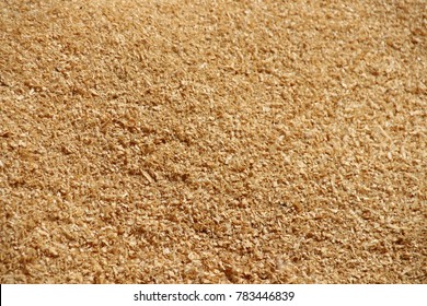 Fresh Dry Pine Sawdust