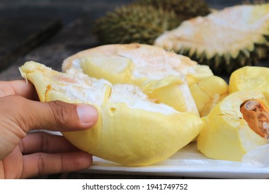 Durian Banner Hd Stock Images Shutterstock