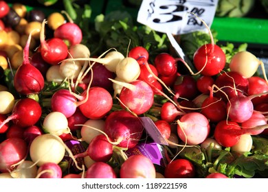 Fresh Easter Egg Radish