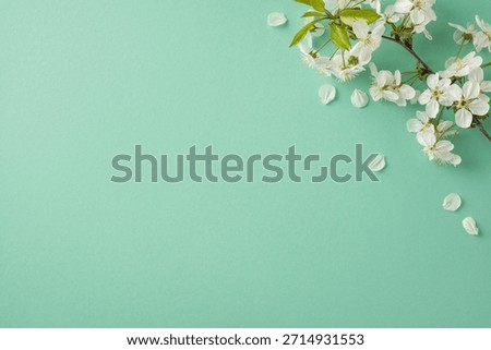 Fresh Easter imagery featuring delicate white blossoms on a soft green backdrop evokes springtime renewal, nature, and festive greetings. Ideal for Easter cards, greetings, banners