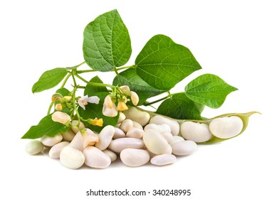 Fresh Edamame Soy Beans With Flowers And Leaves On White Background