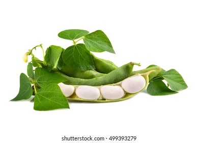 Fresh Edamame Soy Beans With Flowers And Leaves On White Background