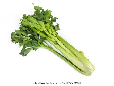 Fresh Edible Green Celery Stem Pascal Stock Photo 1482997058 | Shutterstock