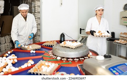 Fresh egg grading and sorting machine, grade egg by weight and size. Product labeling on chicken farm - Shutterstock ID 2246903697