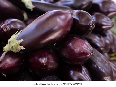 Fresh Eggplant On Market Counter