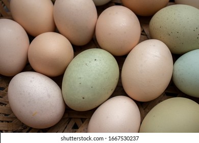 Fresh eggs of all colors are in the basket - Powered by Shutterstock