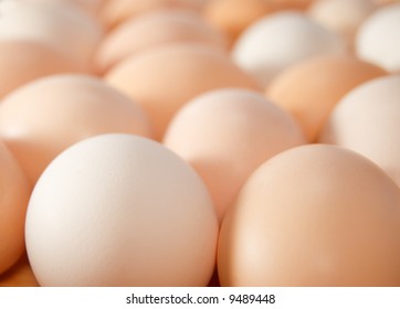 fresh eggs background close up
