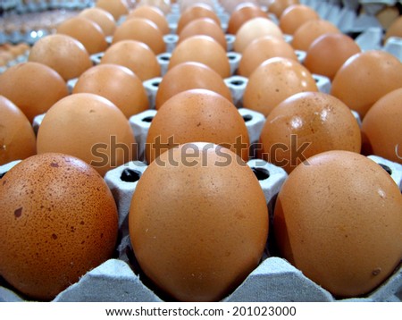 fresh eggs for cooking
