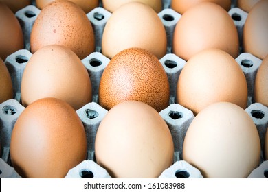 Fresh eggs in a paper tray